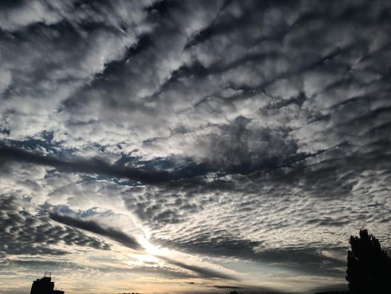 A cloudy sky photographed in the sun's backlight. The sun is partially blocked by a longish smudged cloud in the lower part of the image, but still nicely glows from behind. The rest of the sky is rippled swathes of clouds with impressive contast between light and dark all throughout. A few clouds are more smudged and lighter grey, here and there some light blue or dark blue bits can be seen. A skyscraper in the lower left and the top of a tree in the lower right are darkened by the backlight.