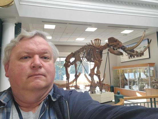 My home campus mascot is also a mastodon, go dons!!