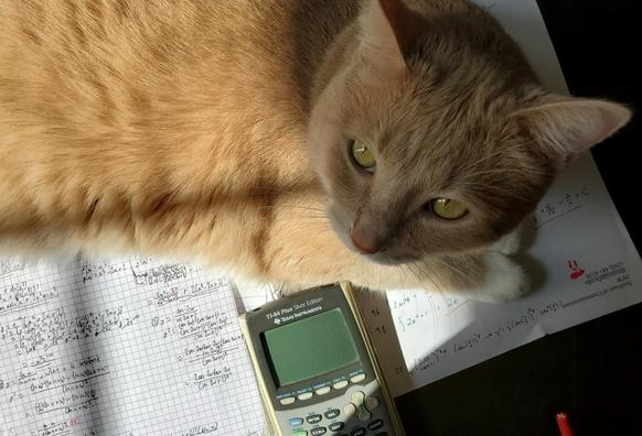 Pedro helping with calculus homework grading